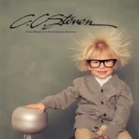 C. C. STEVEN & ASSOCIATES INC C. C. STEVEN & ASSOCIATES INC