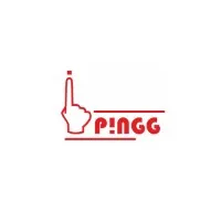 Pingg