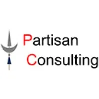 Partisan Consulting Ltd.