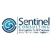 Sentinel ERP Consulting Sentinel ERP Consulting
