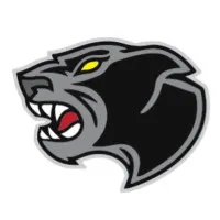 Stray Cat Industrial Services Ltd.