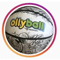 Ollyball ⚡️ The Ultimate Indoor Play Ball