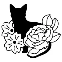 Wild Cat Consulting Wild Cat Consulting