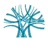 Ukrainian Corporate Governance Academy