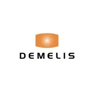 S&F De Melis Construction Ltd.