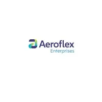 Aeroflex Enterprises Ltd (formerly SAT Industries Ltd)