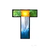 Tibur Inc. Tibur Inc.
