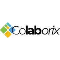Colaborix | AI Integration: Mindset Meets Results