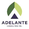 Adelante Consulting, Inc. Adelante Consulting, Inc.