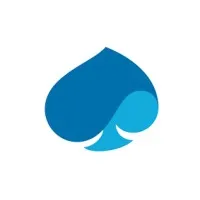 Capgemini Government Solutions