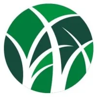 Artificial Grass Nigeria| Bethelmendels Artificial Grass Nigeria| Bethelmendels