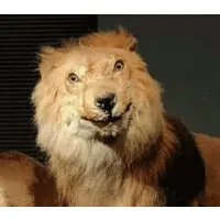 The Trinity of JERKS Group of Companies