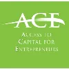 ACE | Access to Capital for Entrepreneurs ACE | Access to Capital for Entrepreneurs