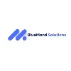 BlueMond Solutions BlueMond Solutions