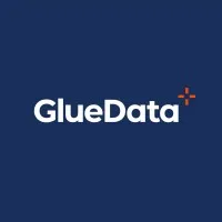 GlueData Services