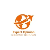 Expert Opinion