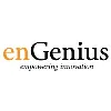 enGenius Consulting Group enGenius Consulting Group