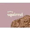French Squirrel French Squirrel