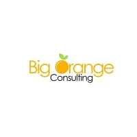 Big Orange Consulting