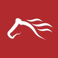 Mustang Media Writing & Editorial Services