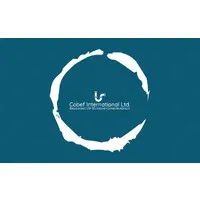 Cobef International Limited