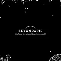 Beyondarie