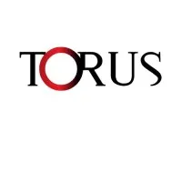 Torus Transforms