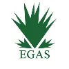 Egyptian Natural Gas Holding Company (EGAS) Egyptian Natural Gas Holding Company (EGAS)