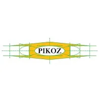 G & PIKOZ SA DE CV