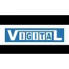 VIGITAL INDIA VIGITAL INDIA
