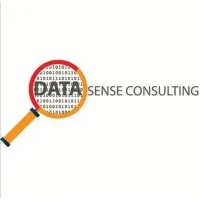 Datasense Consulting