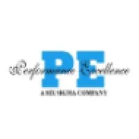 Performance Excellence INC Performance Excellence INC