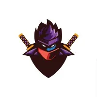 Web Ninja Solutions