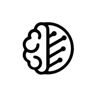Cerebral Circuit