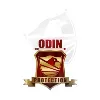 Odin Protection Services Odin Protection Services