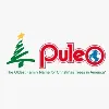 Puleo International Inc Puleo International Inc