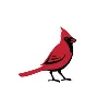 Cardinal Paint & Powder