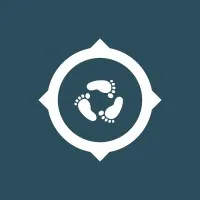 Wise Steps Consulting