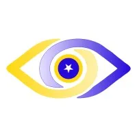 ThirdEye IT Consulting Services (Pty) Ltd