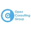 Opex Consulting Group (Consultancy & Technology) Opex Consulting Group (Consultancy & Technology)