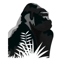 Silverback Network, Inc.