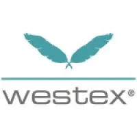 Westex International