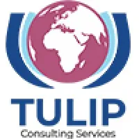 Tulip Consulting Services LLC