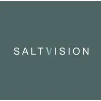 SaltVision SaltVision