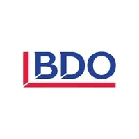 BDO Debt Solutions