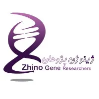 Zhino Gene Research Co.