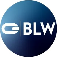 Blue Link Wireless