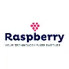 Raspberry IT Services