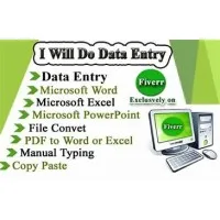 data entry seller at Fiverr and Upwork