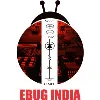 EBUG INDIA PVT LTD EBUG INDIA PVT LTD